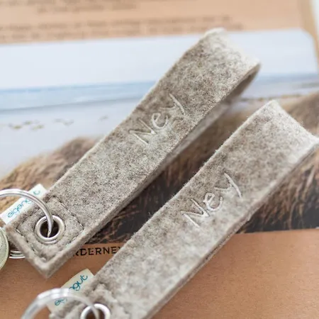 דירה Ney 12 נורדרני